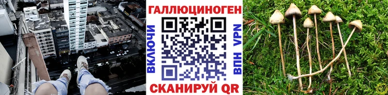 Купить где  Красноармейск  Галлюциногенные грибы ЛСД 